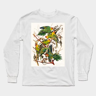 Carolina Parrot from Birds of America (1827) Long Sleeve T-Shirt